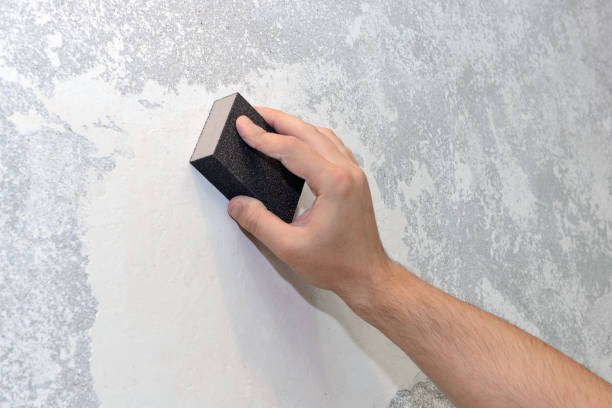 Best Water Damage & Mold Remediation  in St Clairsville, OH