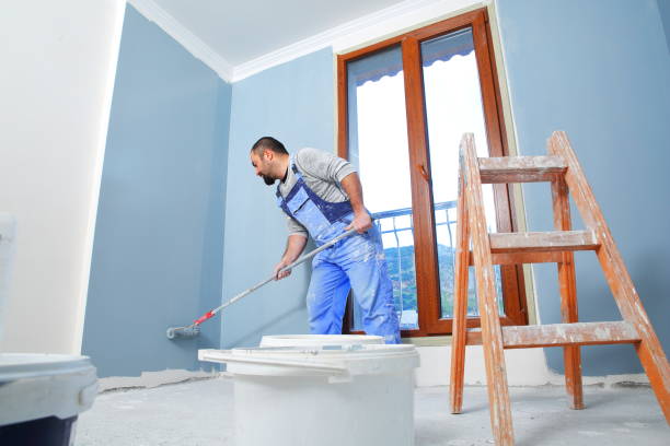 Professional Mold Removal in St Clairsville, OH