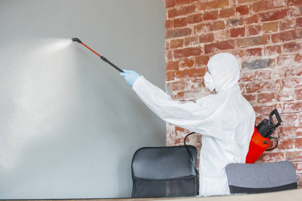 Best Commercial Mold Inspection  in St Clairsville, OH