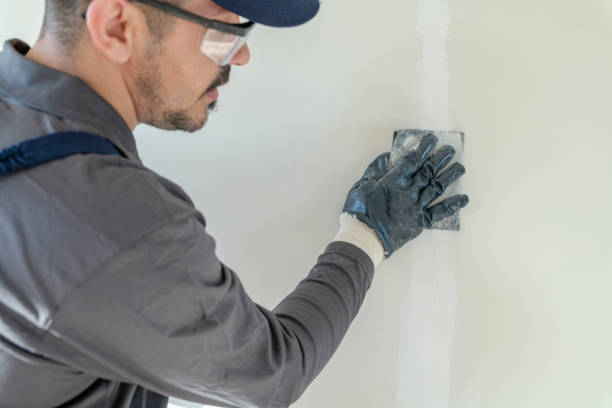 Best Industrial Mold Remediation  in St Clairsville, OH