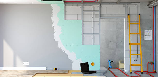 Best Basement Mold Removal  in St Clairsville, OH