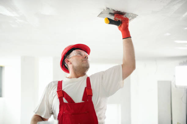 Best Biohazard Mold Removal  in St Clairsville, OH