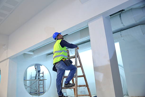 Best Mold Damage Restoration  in St Clairsville, OH