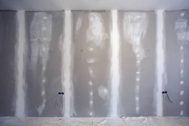 Best Crawl Space Mold Remediation  in St Clairsville, OH